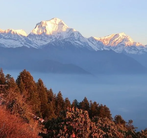 ghorepani poon hill