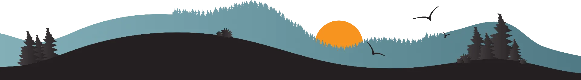 Footer background image for Exotic Mountains website