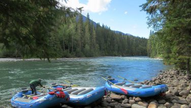 Whitewater rafting team navigating river rapids