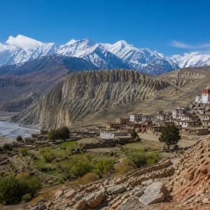 upper mustang trek cover